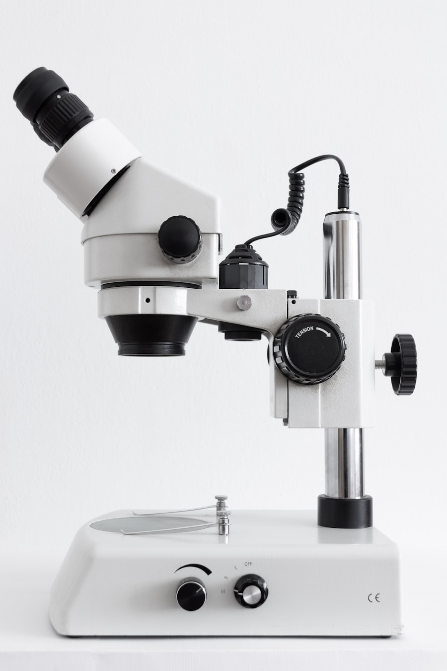 Male Fertility